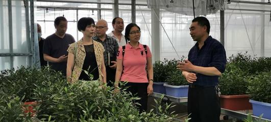 重慶銅梁區(qū)老科協(xié):建立果蔬科研實驗基地助力果苗產(chǎn)業(yè)高質(zhì)量發(fā)展
