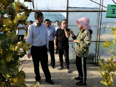 大慶副市長熊敏峰到大同航天育種基地調(diào)研指導